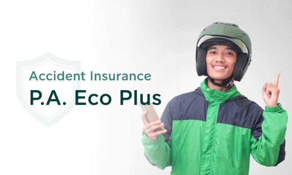 P.A. Eco Plus