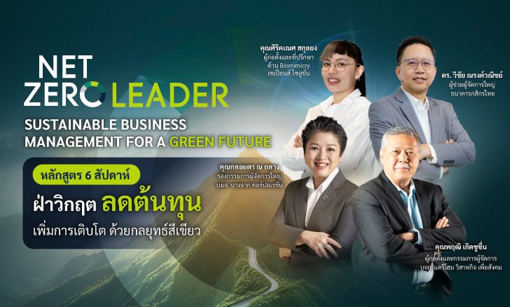 Net Zero Leader