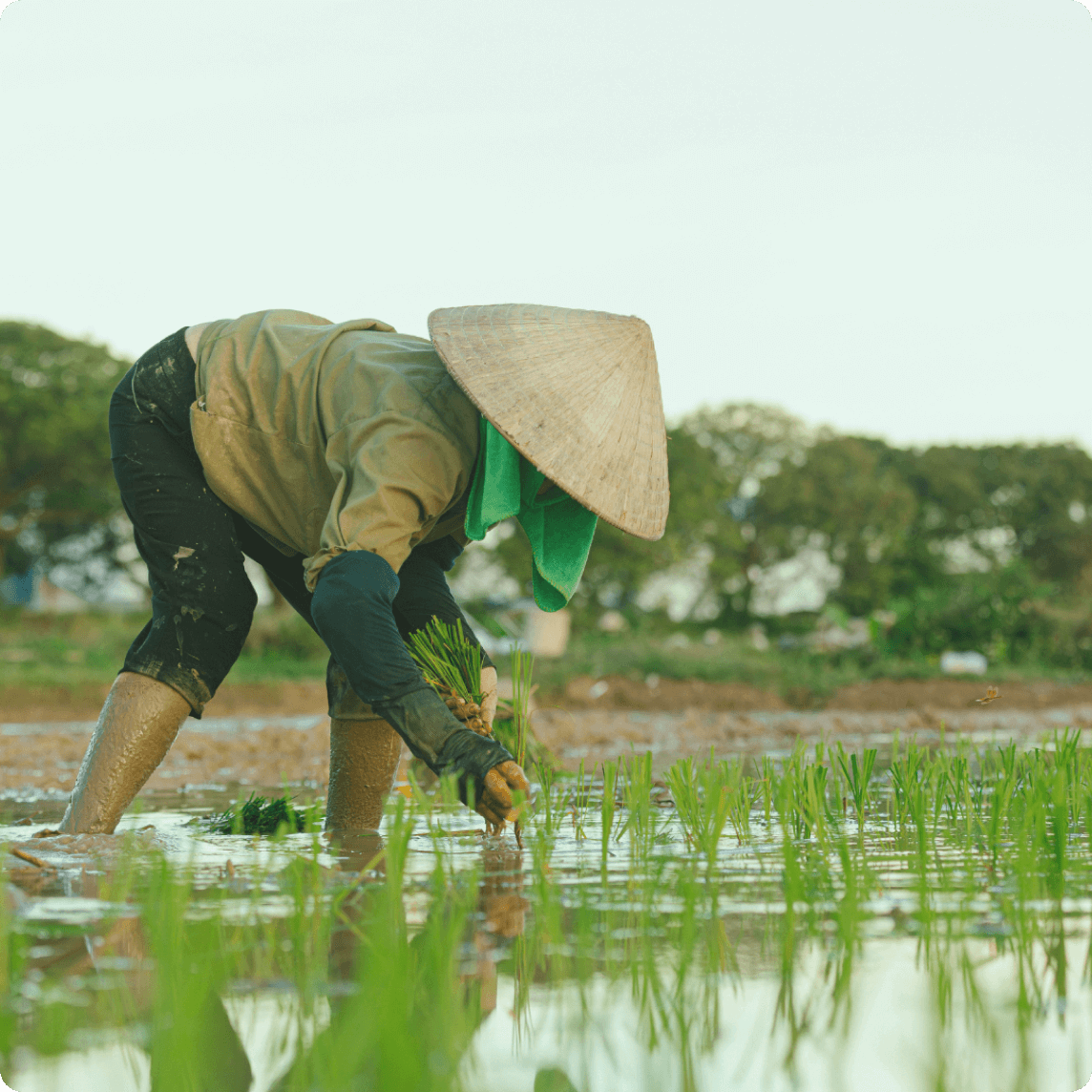 Agriculture