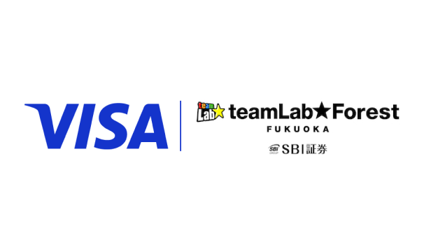 logo-Visaxteamlab