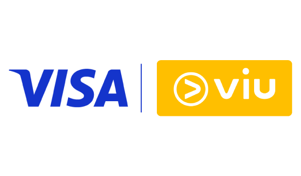 logo-fin_visaxviu