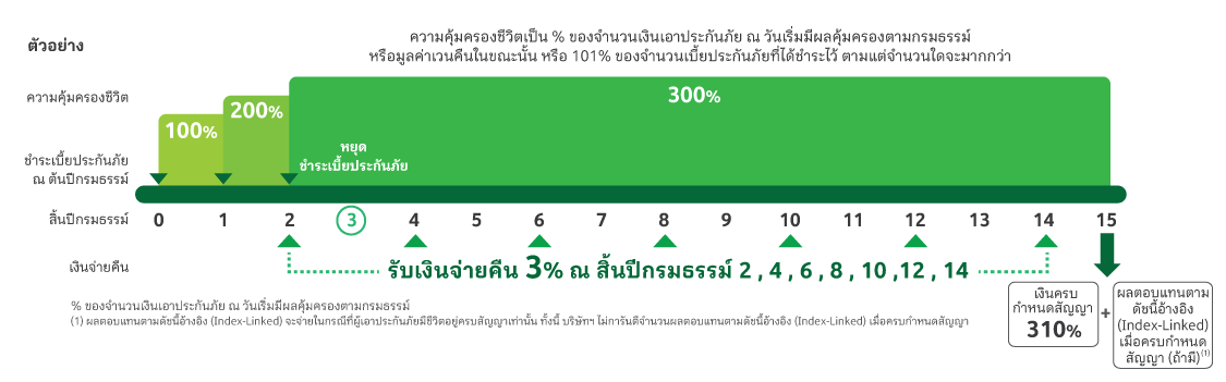 ประกันชีวิตสะสมทรัพย์ 15/3 มีเงินปันผล จนครบสัญญา รับผลตอบแทนรวม 310%