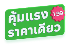 ทรัพย์พิเศษราคาเดียว 1.99 2.99 3.99 ล้านบาท