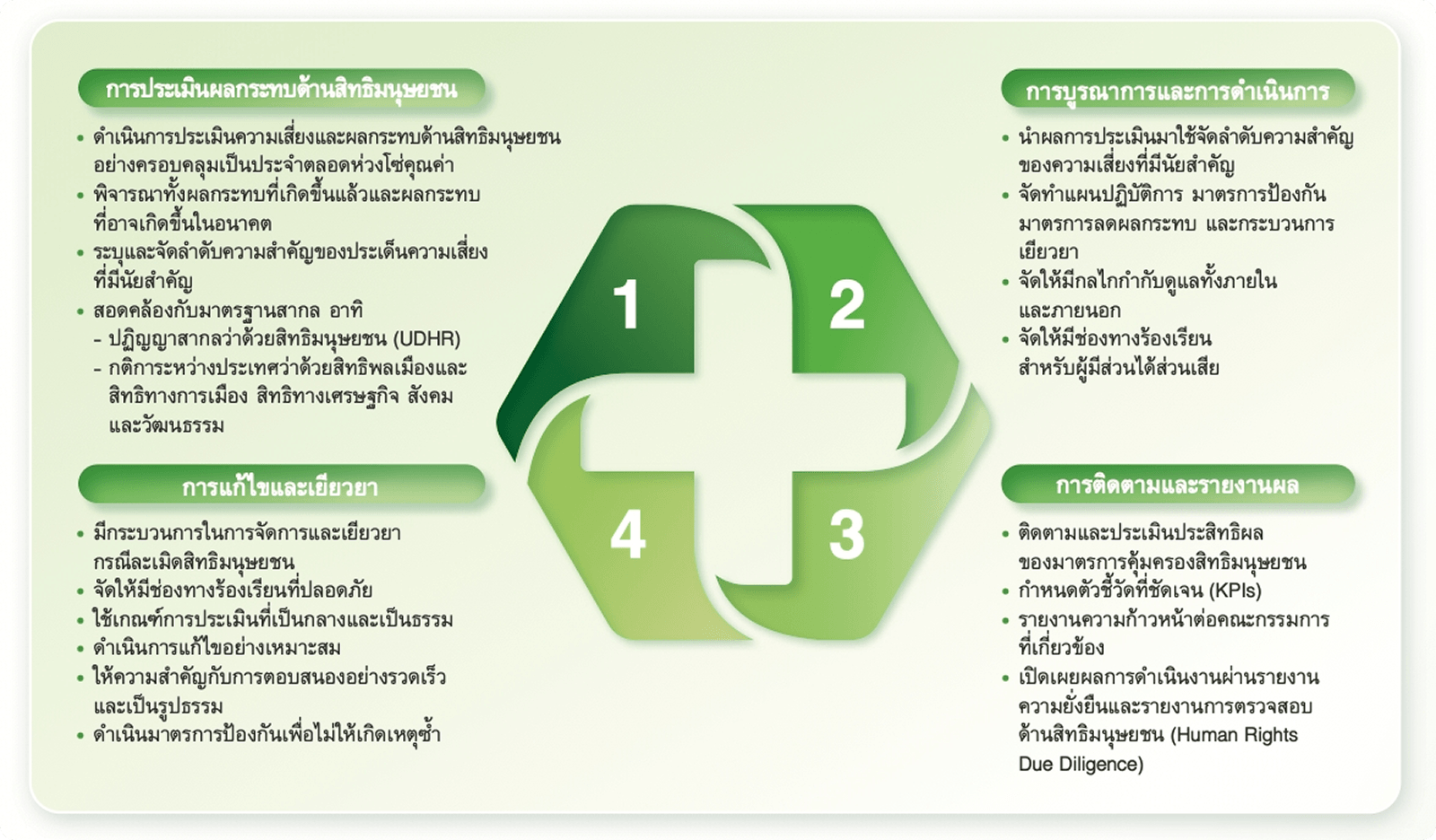 กระบวนการตรวจสอบสิทธิมนุษยชนอย่างรอบด้าน