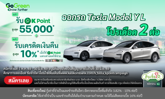 TESLA Model Y L